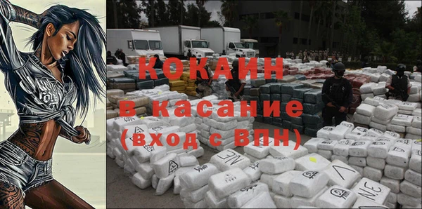 кокс Касимов