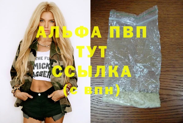 кокс Касимов