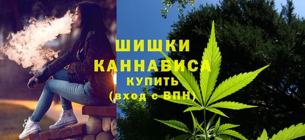 кокс Касимов