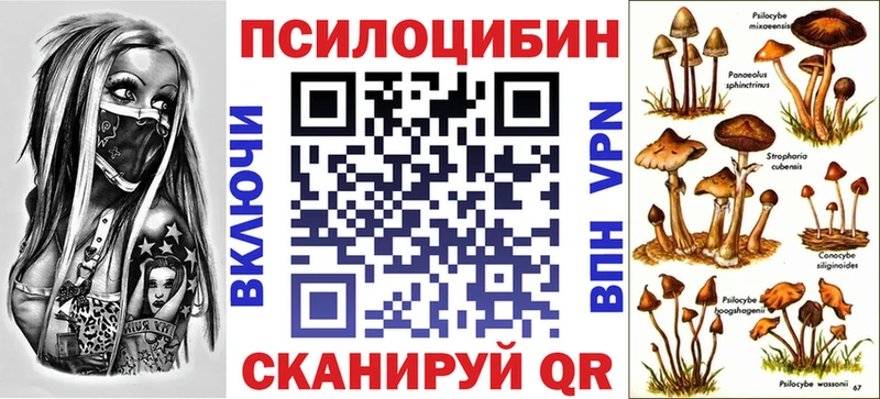 Псилоцибиновые грибы мицелий  Ачинск 