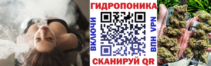 МАРИХУАНА MAZAR где продают Ачинск